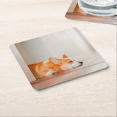 Kutest Baby Animals | Corgi Slaping Kartonnen Onderzetters (Schuin)