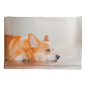 Kutest Baby Animals | Corgi Slaping Kussensloop (Achterkant)