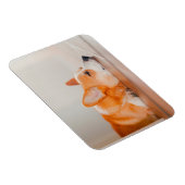 Kutest Baby Animals | Corgi Slaping Magneet (Rechterzijde)