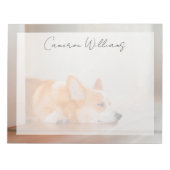 Kutest Baby Animals | Corgi Slaping Notitieblok (Voorkant)