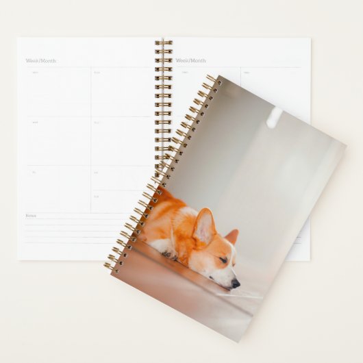 Kutest Baby Animals | Corgi Slaping Planner (Display)