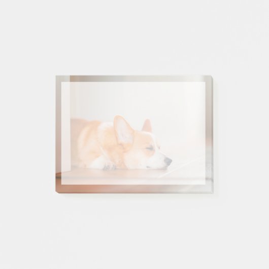 Kutest Baby Animals | Corgi Slaping Post-it® Notes (Voorkant)