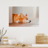 Kutest Baby Animals | Corgi Slaping Poster (Keuken)