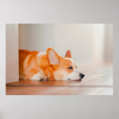 Kutest Baby Animals | Corgi Slaping Poster (Voorkant)