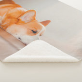 Kutest Baby Animals | Corgi Slaping Sherpa Deken (3/4)