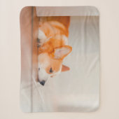 Kutest Baby Animals | Corgi Slaping Sherpa Deken (Voorkant)