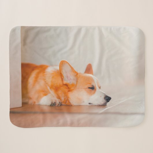 Kutest Baby Animals | Corgi Slaping Sherpa Deken (Voorkant (horizontaal))