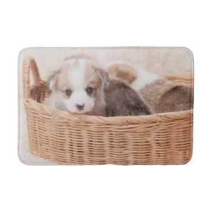 Kutest Baby Animals   Corgi Tiny Puppy Badmat