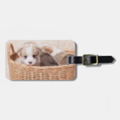 Kutest Baby Animals | Corgi Tiny Puppy Bagagelabel (Voorkant horizontaal)