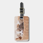 Kutest Baby Animals | Corgi Tiny Puppy Bagagelabel (Voorkant verticaal)