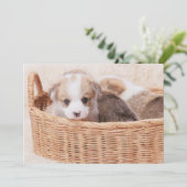 Kutest Baby Animals | Corgi Tiny Puppy Bedankkaart (Staand voorkant)