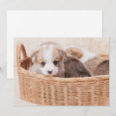 Kutest Baby Animals | Corgi Tiny Puppy Bedankkaart (Voorkant / Achterkant)