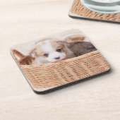 Kutest Baby Animals | Corgi Tiny Puppy Bier Onderzetter (Linkerzijde)