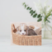 Kutest Baby Animals | Corgi Tiny Puppy Briefkaart (Staand voorkant)