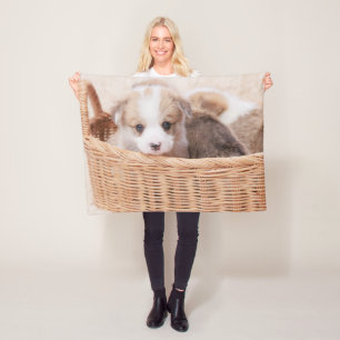 Kutest Baby Animals   Corgi Tiny Puppy Fleece Deken