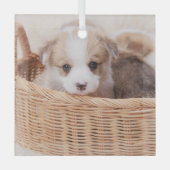 Kutest Baby Animals | Corgi Tiny Puppy Glas Ornament (Voorkant)