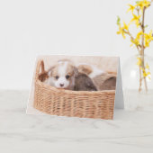 Kutest Baby Animals | Corgi Tiny Puppy Kaart (Gele Bloem)