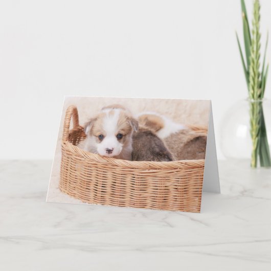 Kutest Baby Animals | Corgi Tiny Puppy Kaart (Voorkant)