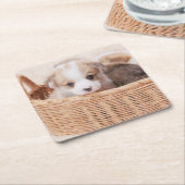Kutest Baby Animals | Corgi Tiny Puppy Kartonnen Onderzetters (Schuin)