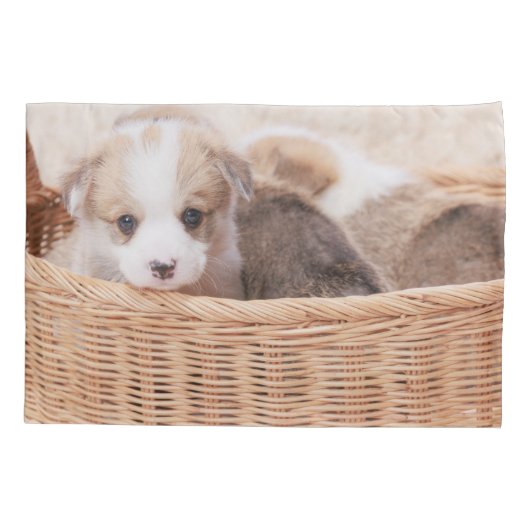 Kutest Baby Animals | Corgi Tiny Puppy Kussensloop (Achterkant)