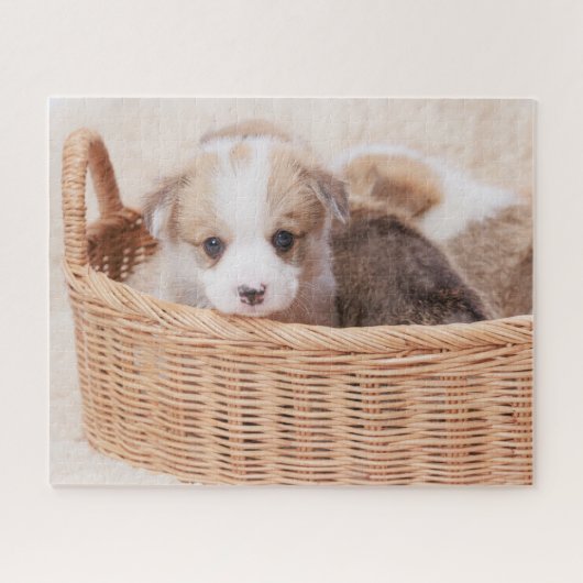 Kutest Baby Animals | Corgi Tiny Puppy Legpuzzel (Horizontaal)