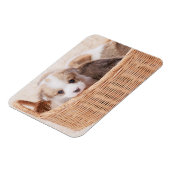 Kutest Baby Animals | Corgi Tiny Puppy Magneet (Linkerzijde)