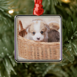 Kutest Baby Animals   Corgi Tiny Puppy Metalen Ornament