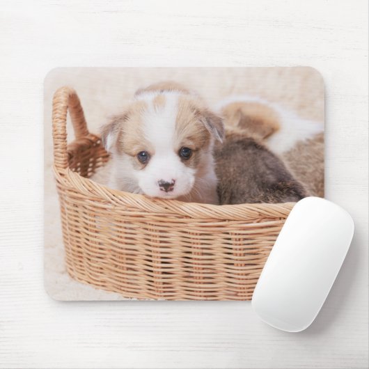 Kutest Baby Animals | Corgi Tiny Puppy Muismat (Met muis)