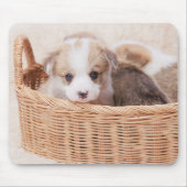 Kutest Baby Animals | Corgi Tiny Puppy Muismat (Voorkant)