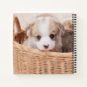Kutest Baby Animals | Corgi Tiny Puppy Notitieboek (Achterkant)