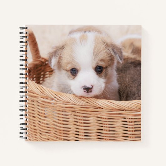 Kutest Baby Animals | Corgi Tiny Puppy Notitieboek (Voorkant)