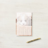 Kutest Baby Animals | Corgi Tiny Puppy Post-it® Notes (Op bureau)