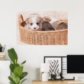 Kutest Baby Animals | Corgi Tiny Puppy Poster (Thuiskantoor)
