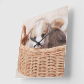 Kutest Baby Animals | Corgi Tiny Puppy Vierkante Klok (Hoek)