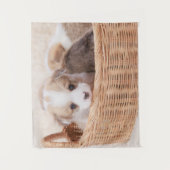 Kutest Baby Animals | Corgi Tiny Puppy Wandkleed (Voorkant)