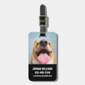 Kutest Baby Animals | Corgi Tongue Bagagelabel (Voorkant verticaal)