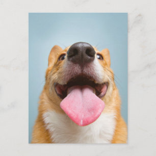 Kutest Baby Animals Corgi Tongue Briefkaart