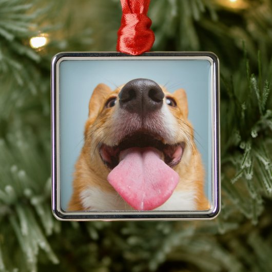 Kutest Baby Animals | Corgi Tongue Metalen Ornament (Boom)