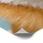 Kutest Baby Animals | Corgi Tongue Poster (Hoek)