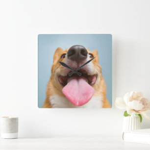Kutest Baby Animals   Corgi Tongue Vierkante Klok
