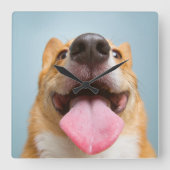 Kutest Baby Animals | Corgi Tongue Vierkante Klok (Voorkant)