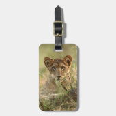 Kutest Baby Animals | Cute Baby Lion Cub Bagagelabel (Voorkant verticaal)