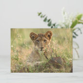 Kutest Baby Animals | Cute Baby Lion Cub Bedankkaart (Staand voorkant)