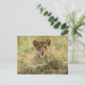 Kutest Baby Animals | Cute Baby Lion Cub Briefkaart (Staand voorkant)