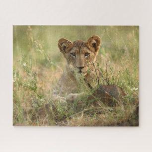 Kutest Baby Animals   Cute Baby Lion Cub Legpuzzel