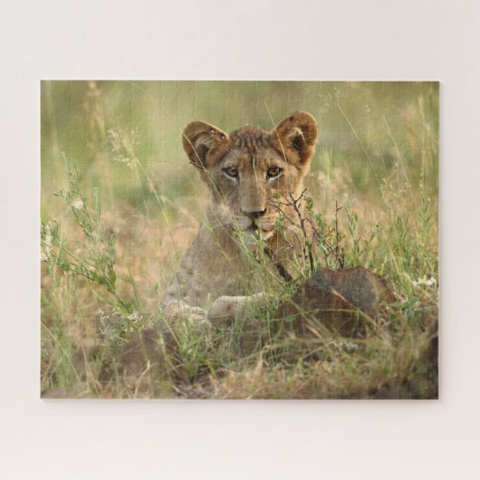 Kutest Baby Animals | Cute Baby Lion Cub Legpuzzel (Horizontaal)