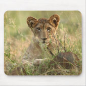 Kutest Baby Animals | Cute Baby Lion Cub Muismat (Voorkant)