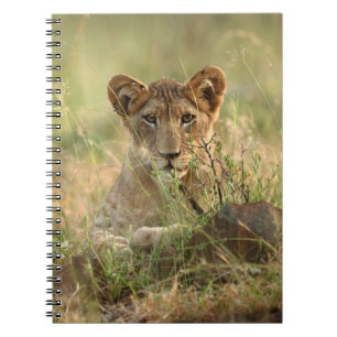 Kutest Baby Animals   Cute Baby Lion Cub Notitieboek