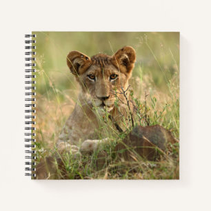Kutest Baby Animals Cute Baby Lion Cub Notitieboek