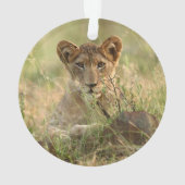 Kutest Baby Animals | Cute Baby Lion Cub Ornament (achterkant)